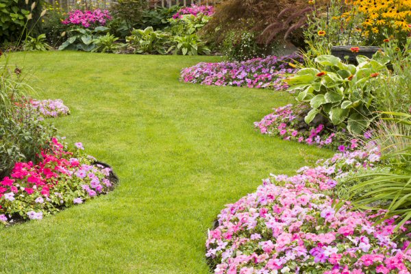 Are you satisfied with your landscape deign?